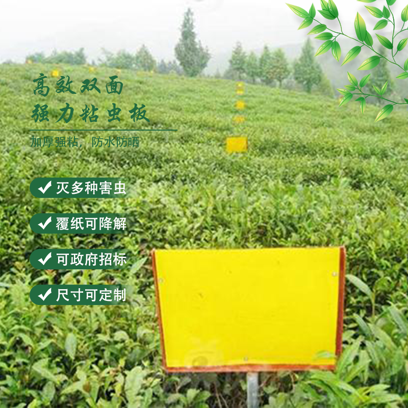 粘蟲板,.png